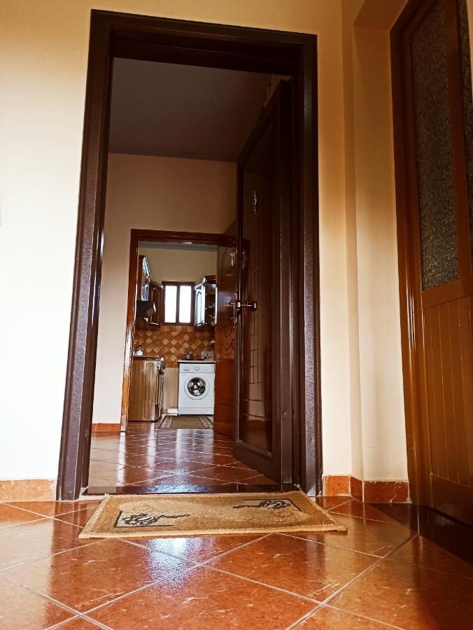 The Garden Guest House Divjaka Zewnętrze zdjęcie