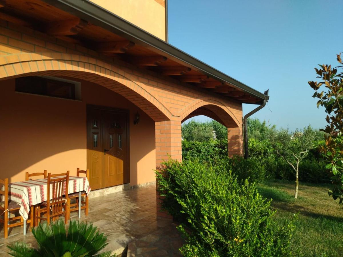 The Garden Guest House Divjaka Zewnętrze zdjęcie