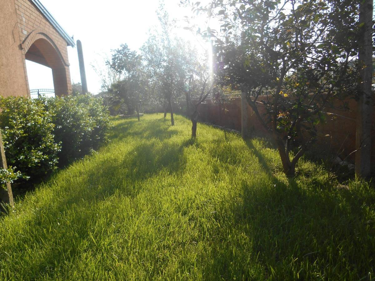 The Garden Guest House Divjaka Zewnętrze zdjęcie